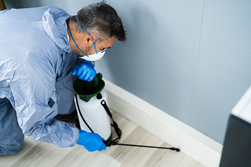 The trick to staying away from pest: Advice by Nationwide Pest Control post thumbnail image