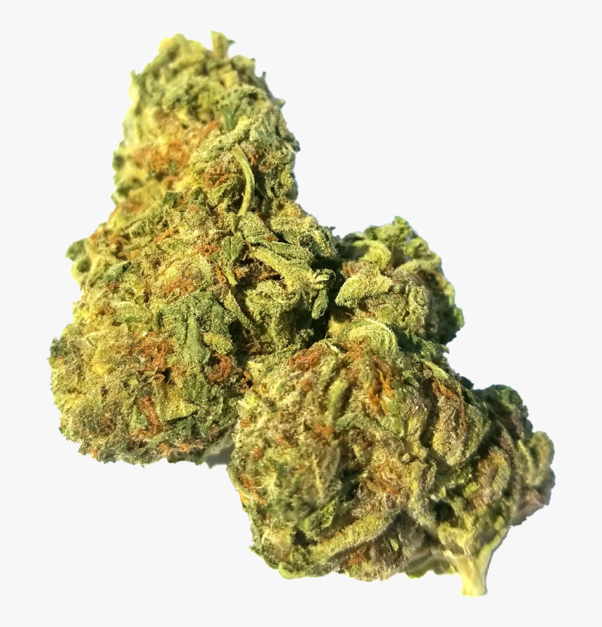 Feel the difference in accessing the best mail order weed Canada post thumbnail image