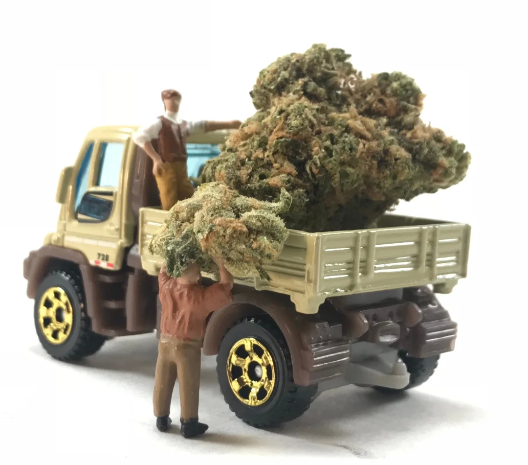 The Benefits of Buying in Bulk: Getting the Best Price on Marijuana post thumbnail image