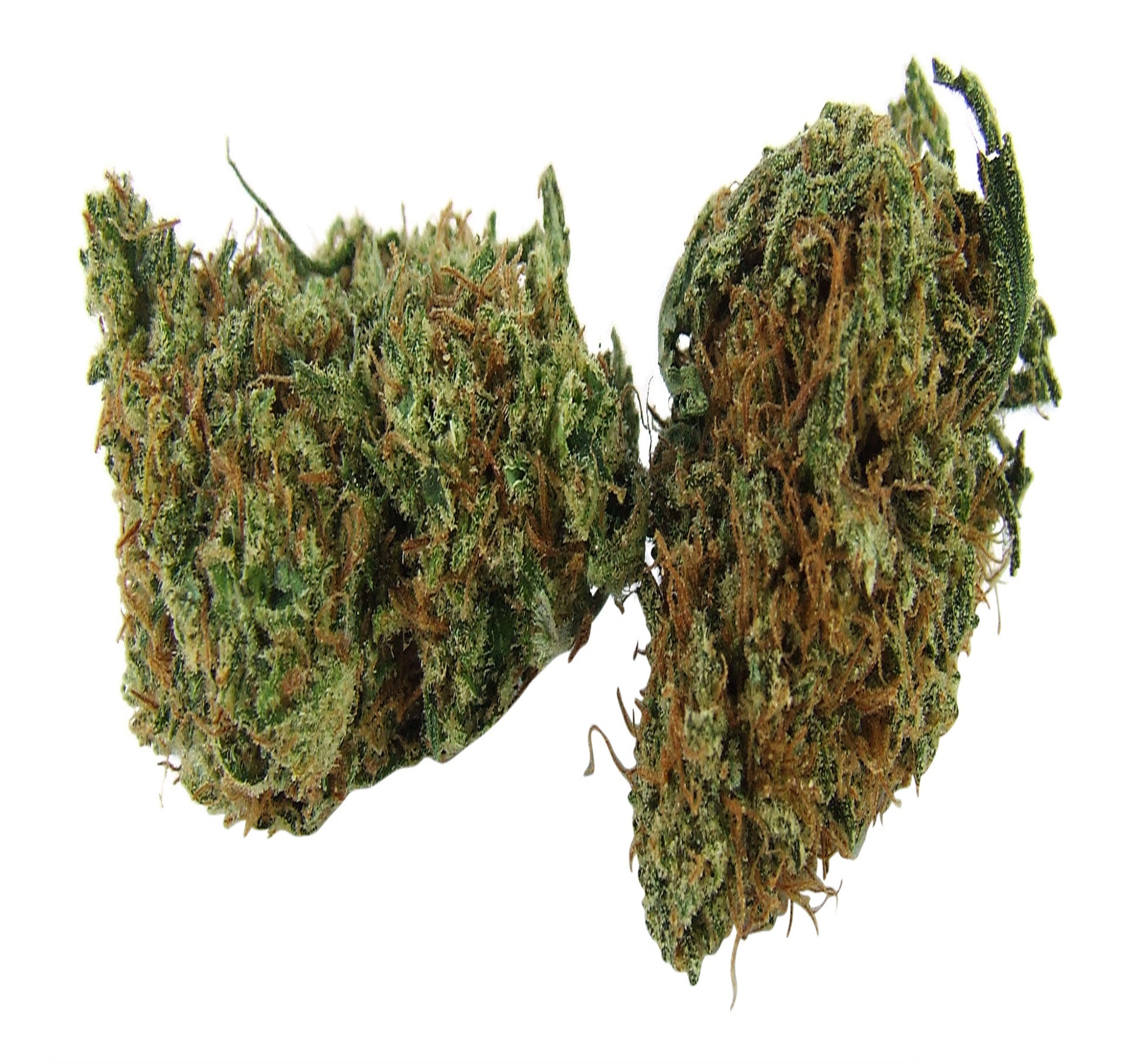 Folks will love exceptional prices to buy weed online post thumbnail image