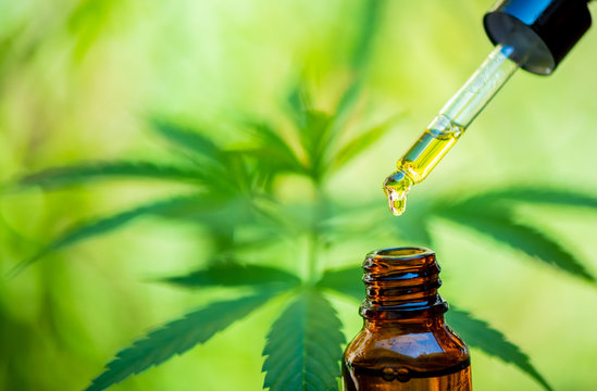 How to Deal with CBD Side Effects and Maximize Its Benefits post thumbnail image