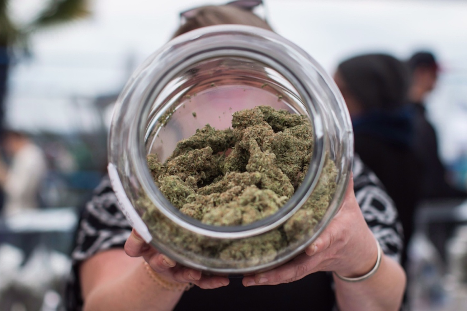 Cannabis Dispensaries: Everything You Need to Know Before Visiting One post thumbnail image