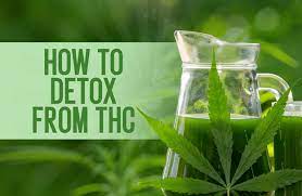 Detoxify Your Breath: Best Mouthwashes for THC Elimination post thumbnail image